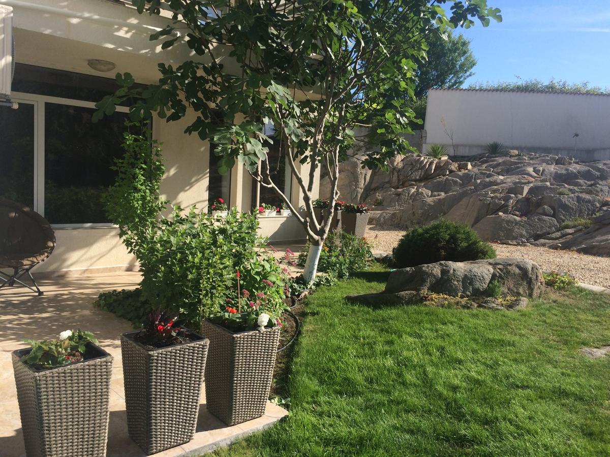 סוזופול Apolonia Apartments מראה חיצוני תמונה